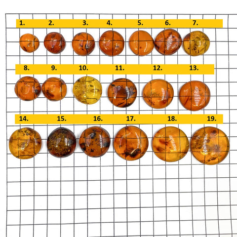 Cognac Amber Free Shape Round Cabochons