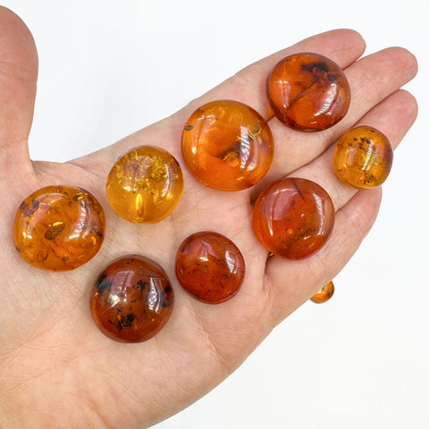 Cognac Amber Free Shape Round Cabochons