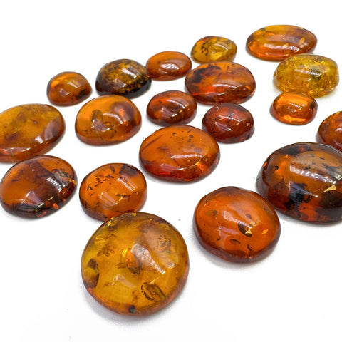Cognac Amber Free Shape Round Cabochons