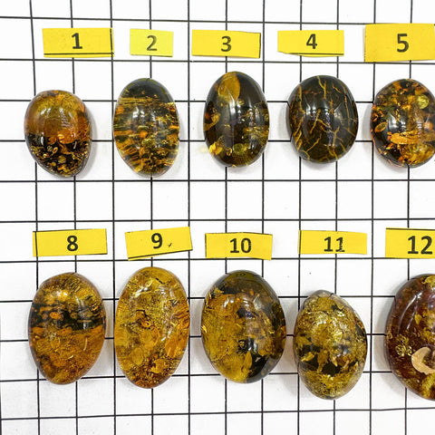 "Earth Stone" Green Amber Free Shape Cabochons