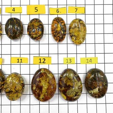 "Earth Stone" Green Amber Free Shape Cabochons