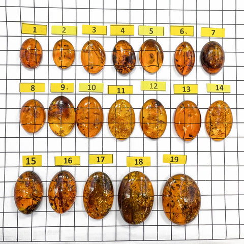 Cognac Amber Free Shape Cabochons