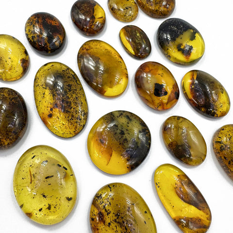 Fossil Amber Free Shape Cabochons