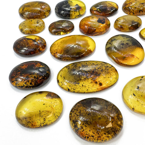 Fossil Amber Free Shape Cabochons