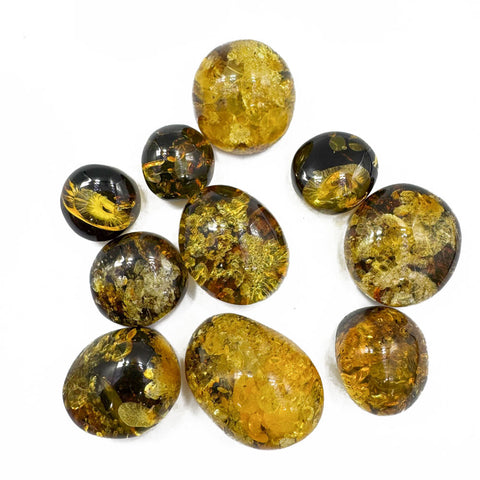 "Earth Stone" Green Amber Free Shape Cabochons