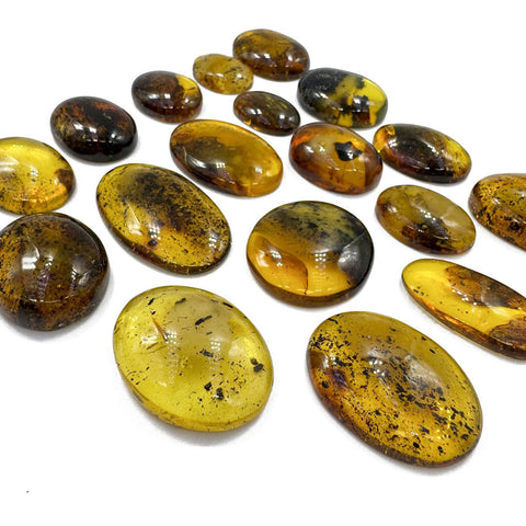 Fossil Amber Free Shape Cabochons