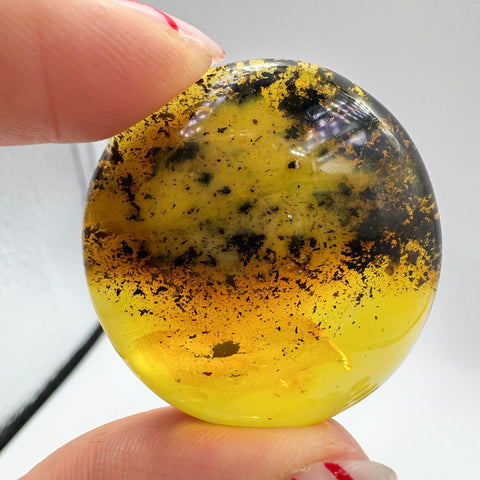 Fossil Amber Free Shape Cabochons