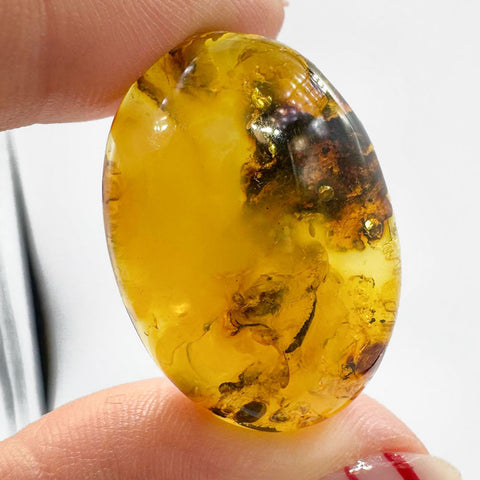 Fossil Amber Free Shape Cabochons