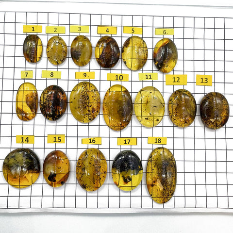 Fossil Amber Free Shape Cabochons