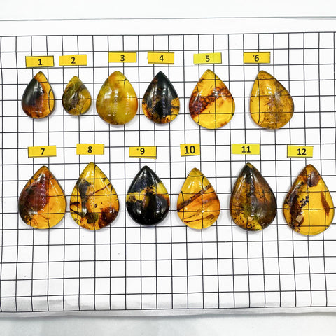 Fossil Amber Handmade Drop Cabochons