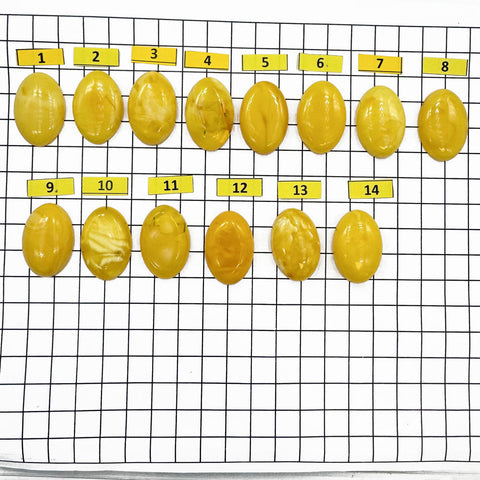 Milky Amber Calibrated Oval Cabochons