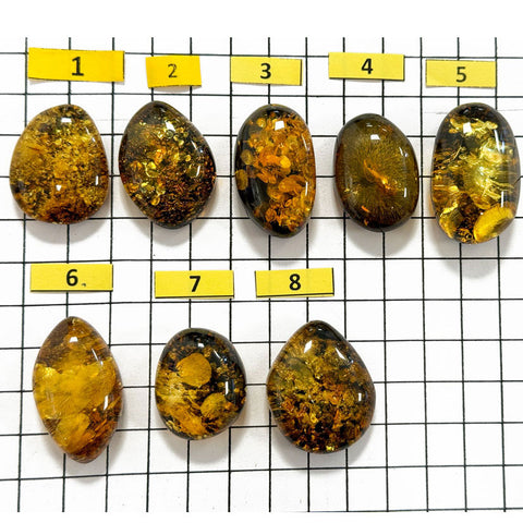 "Earth Stone" Green Amber Free Shape Cabochons