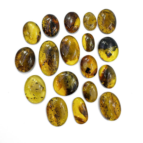 Fossil Amber Free Shape Cabochons