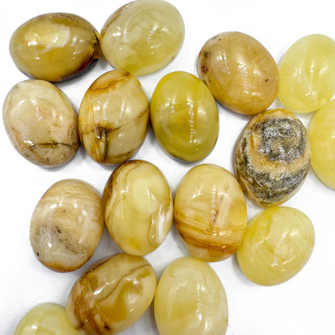 Milky Amber Free Shape Cabochons