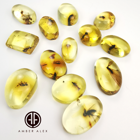 Lemon Amber Free Shape Cabochon With Insects