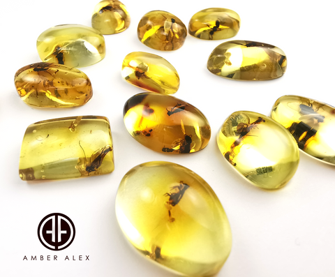 Lemon Amber Free Shape Cabochon With Insects