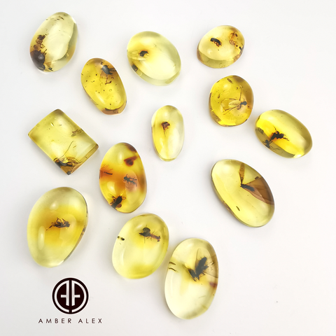 Lemon Amber Free Shape Cabochon With Insects