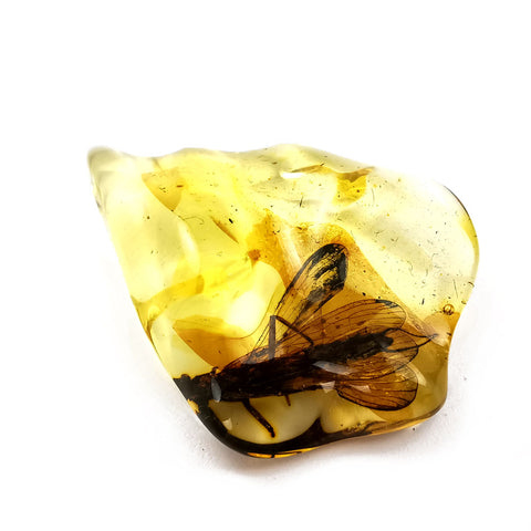 Natural Amber Wave Shape Stone With Insects