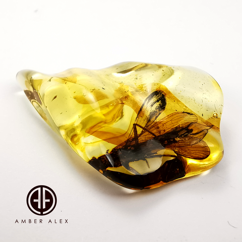 Natural Amber Wave Shape Stone With Insects