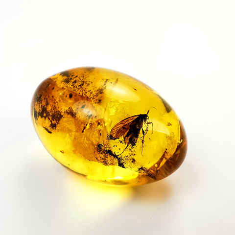 Natural Amber Olive Shape Stone With Insects