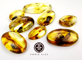 Natural Amber Free Shape Cabochons With Insects