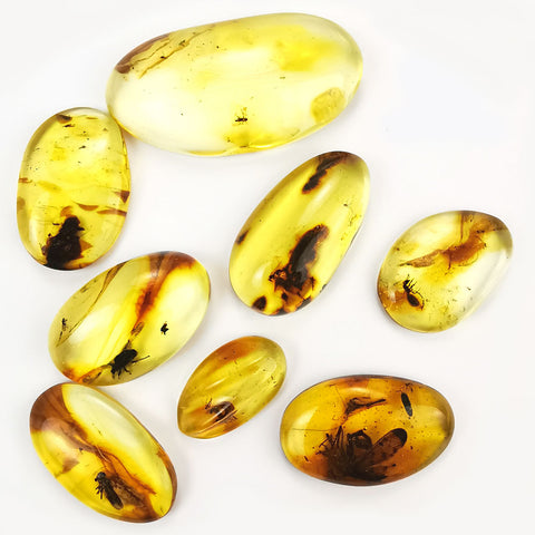 Natural Amber Free Shape Cabochons With Insects