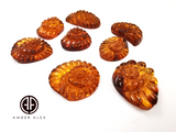 Cognac Amber Carved Ammonites Shell  Cabochon