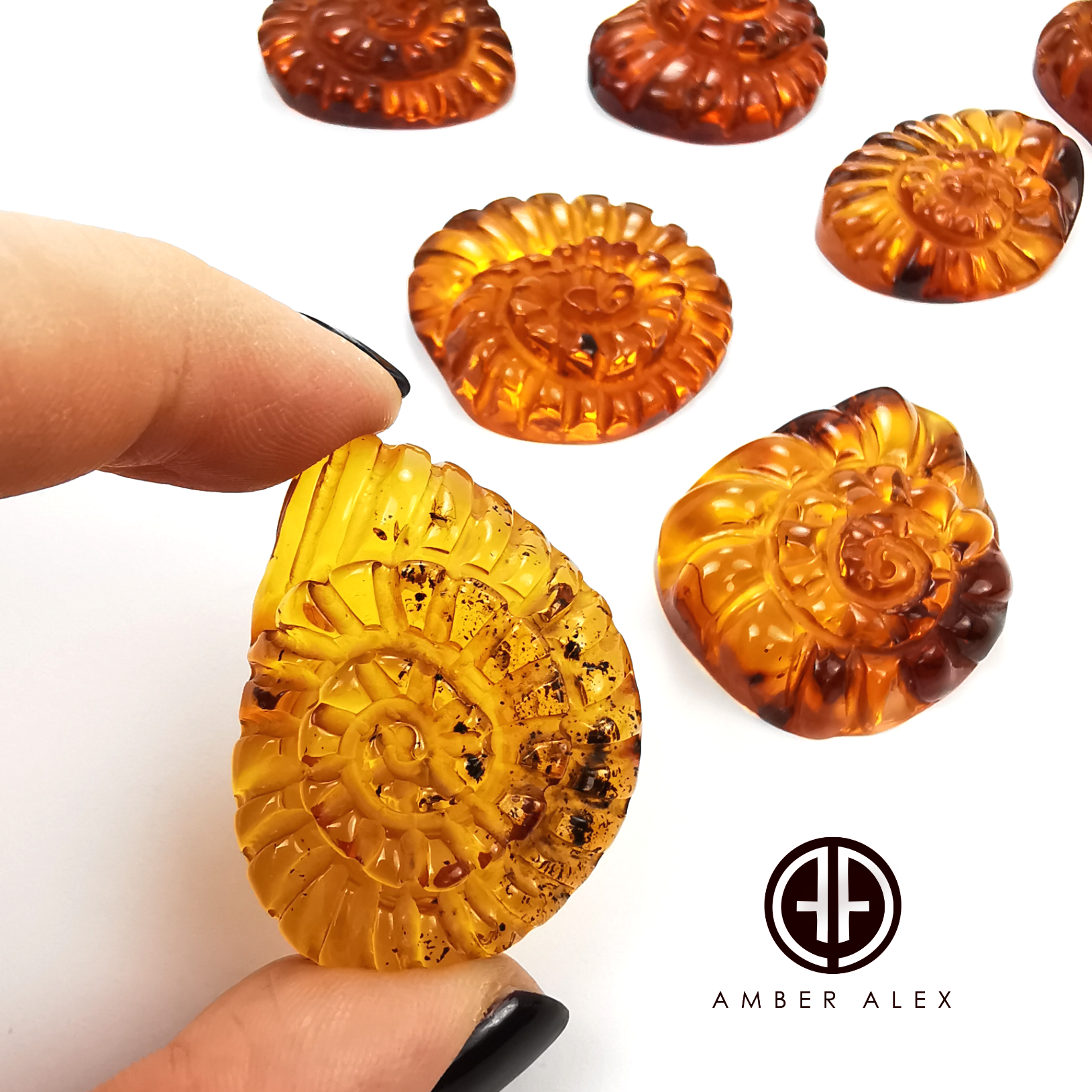 Cognac Amber Carved Ammonites Shell  Cabochon