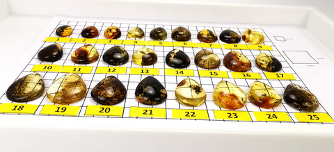 Fossil Amber Handmade Drop Cabochons