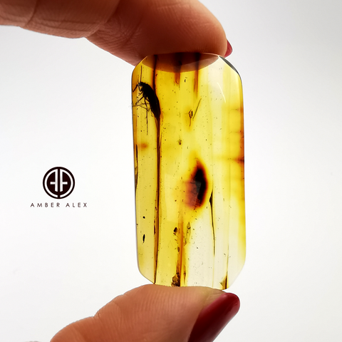 Natural Amber Rectangular Cabochon With Insects