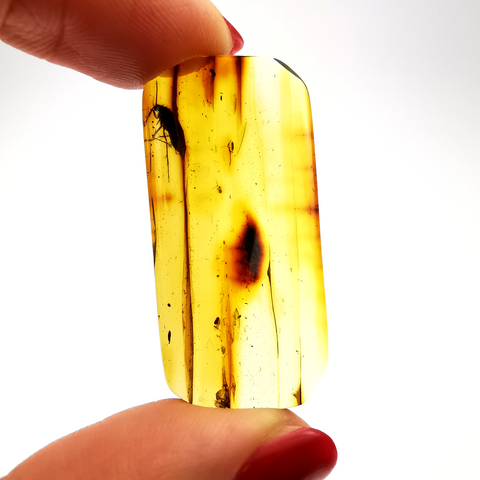 Natural Amber Rectangular Cabochon With Insects