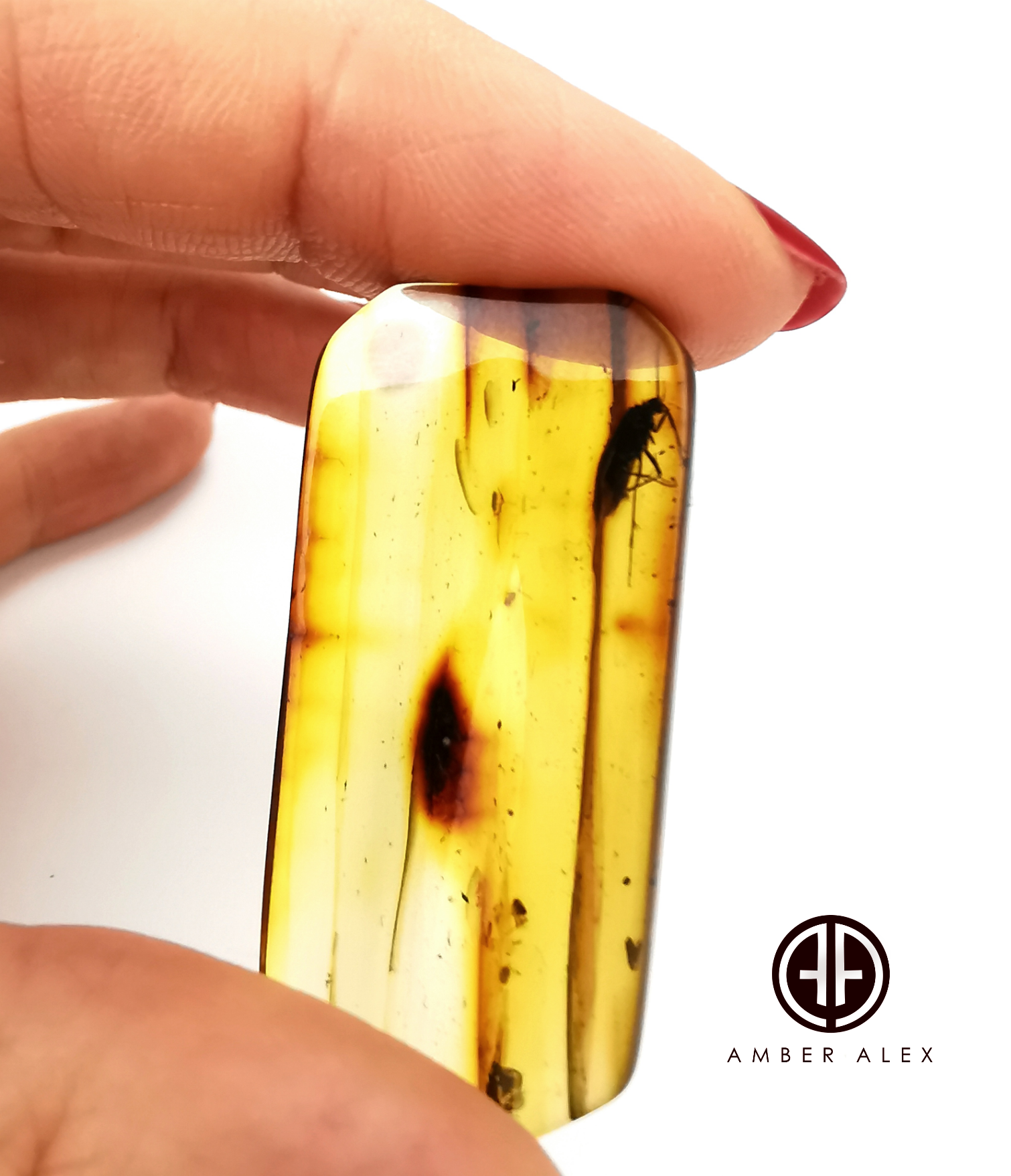 Natural Amber Rectangular Cabochon With Insects