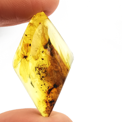 Natural Amber Rhombus Cabochon With Insects