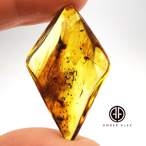 Natural Amber Rhombus Cabochon With Insects