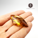 Natural Amber Rhombus Cabochon With Insects