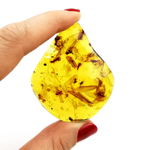 Natural Amber Wave Shape Stone With Insects