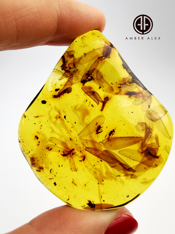 Natural Amber Wave Shape Stone With Insects