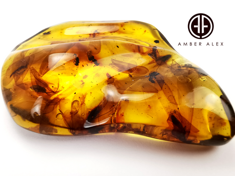 Natural Amber Wave Shape Stone With Insects