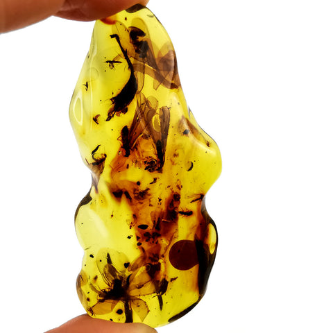 Natural Amber Free Shape Stone With Insects