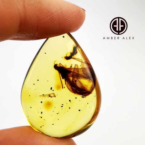 Natural Amber Drop Shape Stone With Insects