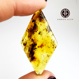 Natural Amber Rhombus Cabochon With Insects