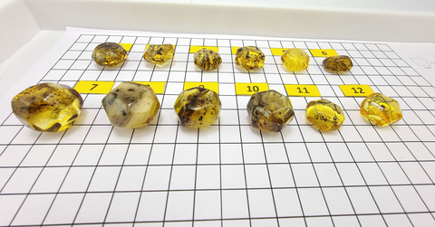 Fossil Amber Crystal Cut Shape Stones