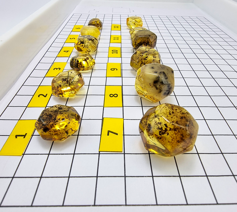 Fossil Amber Crystal Cut Shape Stones