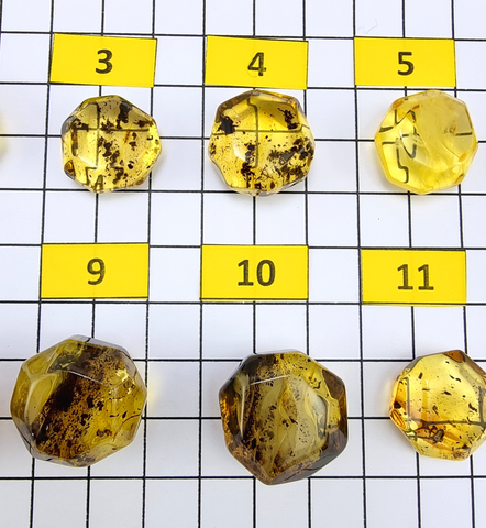 Fossil Amber Crystal Cut Shape Stones