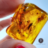 Natural Amber Free Shape Stone With Insects