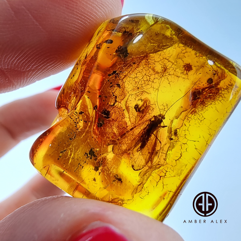 Natural Amber Free Shape Stone With Insects