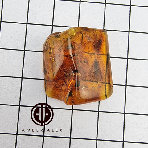 Natural Amber Free Shape Stone With Insects