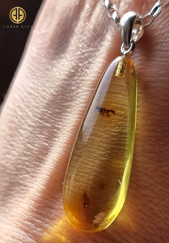 Natural Amber Drop Shape Pendant Sterling Silver With Insect