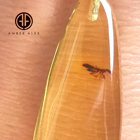 Natural Amber Drop Shape Pendant Sterling Silver With Insect