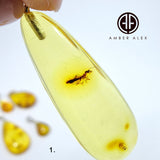 Natural Amber Drop Shape Pendant Sterling Silver With Insect